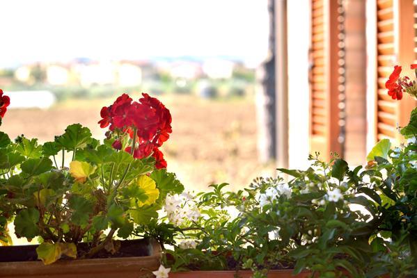 Agriturismo Bellarosa Assisi Buitenkant foto
