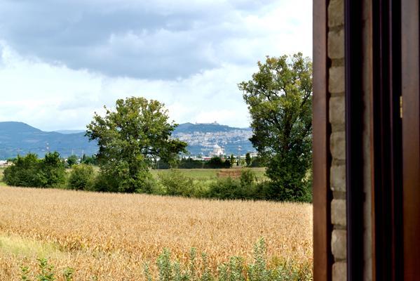 Agriturismo Bellarosa Assisi Buitenkant foto